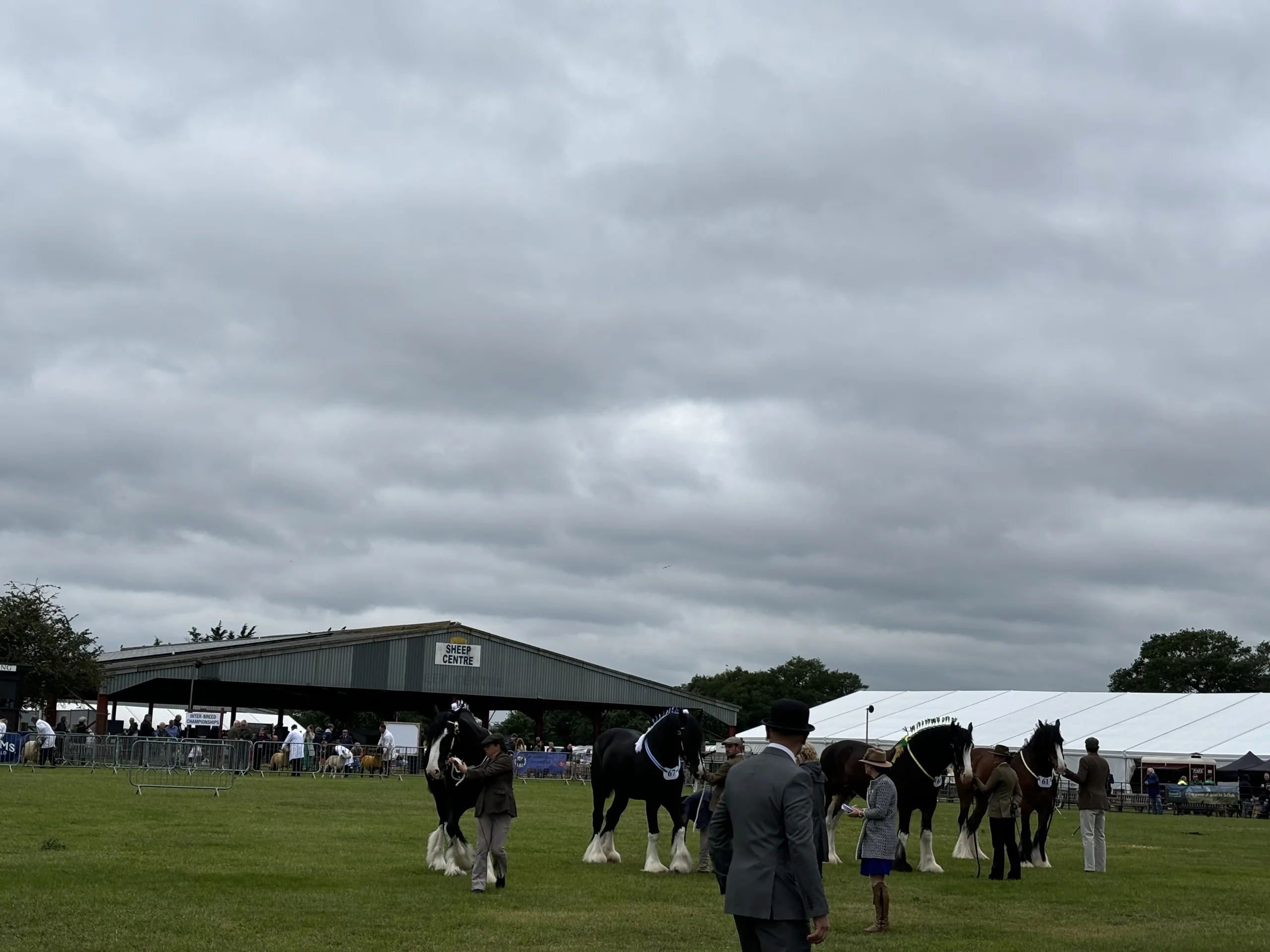 suffolk show